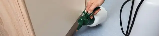 Bed bug exterminator treating baseboards and cracks with targeted spray in New Haven, CT