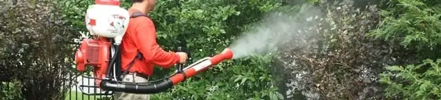 Mosquito control technician fogging shrubs and landscaping for mosquito treatment in New Haven, CT