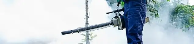 Pest control technician fogging an outdoor area for insect control in New Haven, CT