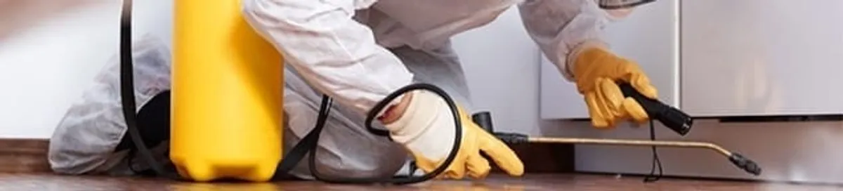 Roach exterminator treating cracks and crevices along kitchen baseboards in New Haven, CT