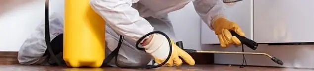 Roach exterminator treating cracks and crevices along kitchen baseboards in New Haven, CT