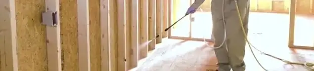 Termite treatment technician applying spray along framing and unfinished walls in New Haven, CT